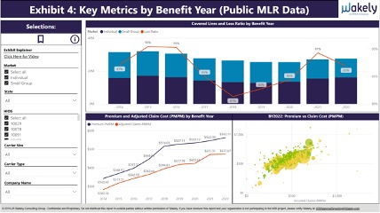 Sample Power BI Exhibit of key metrics by benefit year