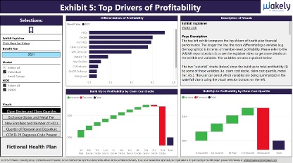 Sample Power BI Exhibits top drivers of profitability